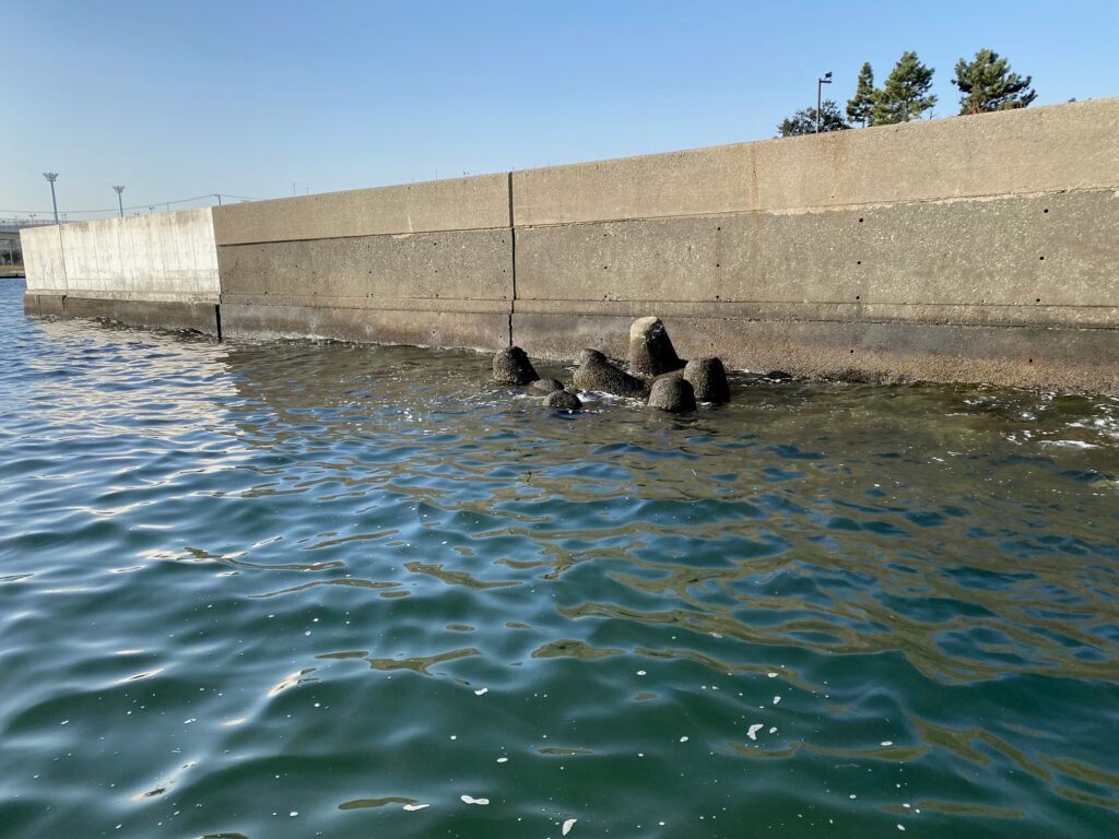 東京湾ボートチニング